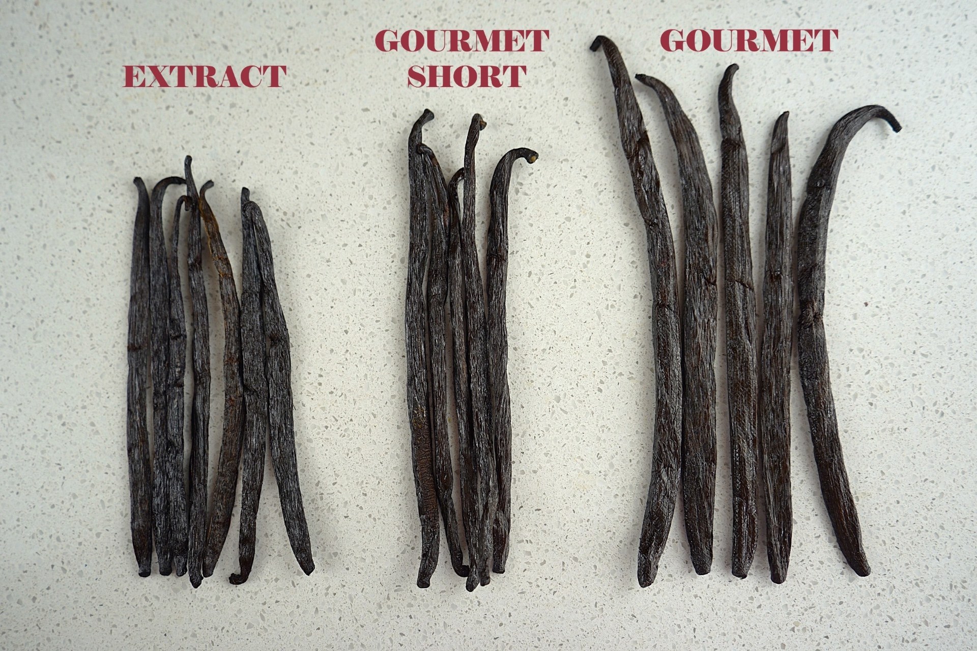 Vanilla beans inspected at origin in Uganda